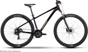 Raymon Nayta (2026) | 29 Zoll MTB Hardtail | black/iredesciant black