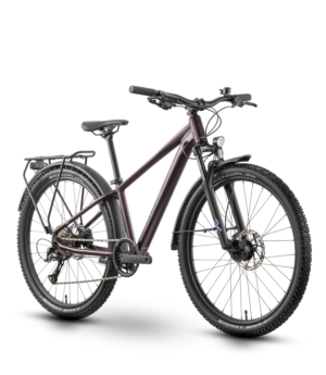 Raymon Nayta Pro Street (2026) | 26 Zoll Jugend-/Kinder-MTB | floridplum