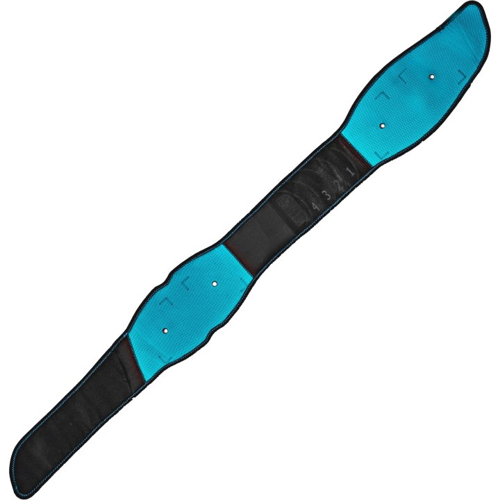 Compex Corebelt 5.0 Muskelstimulator – Bild 5